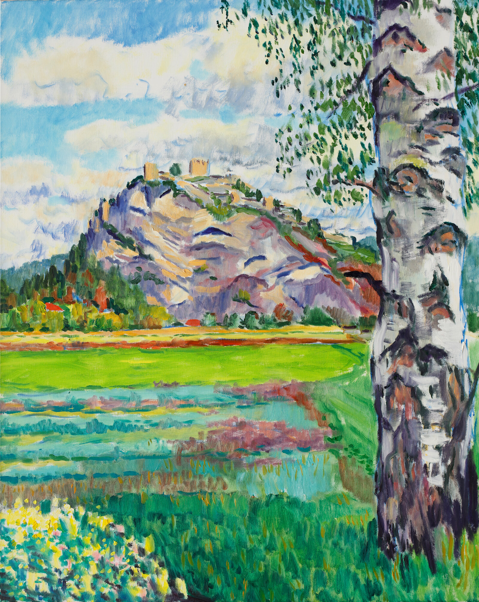 Der Griffner Schlossberg