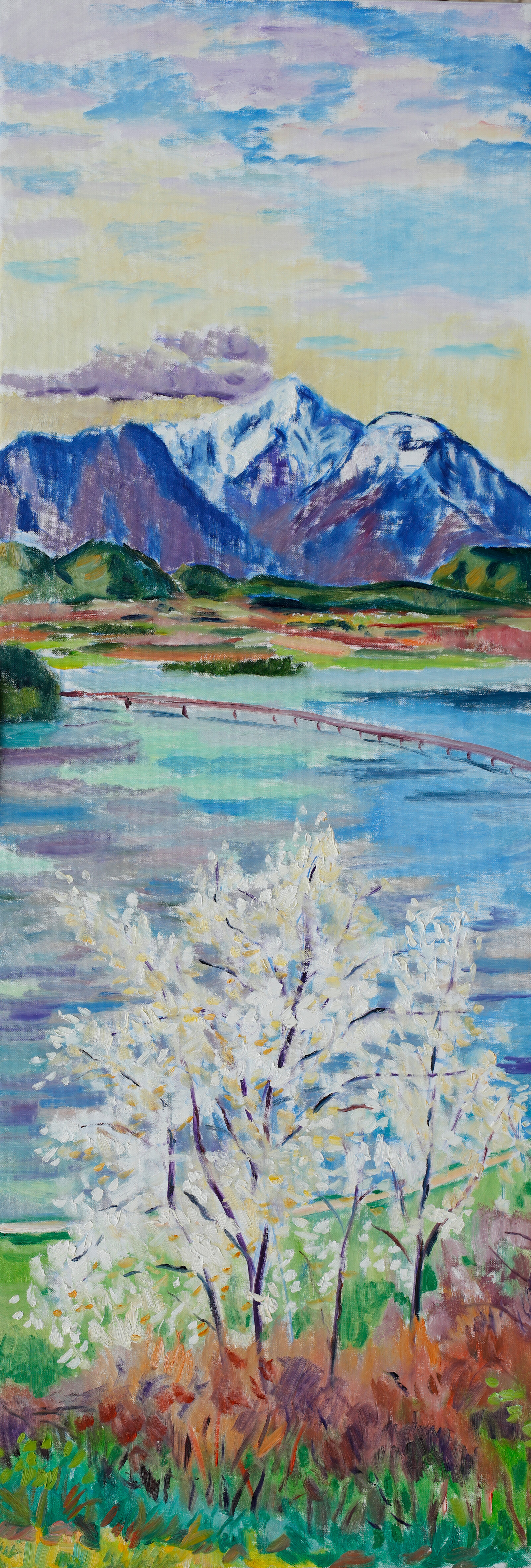 Kirschbluete und Obir