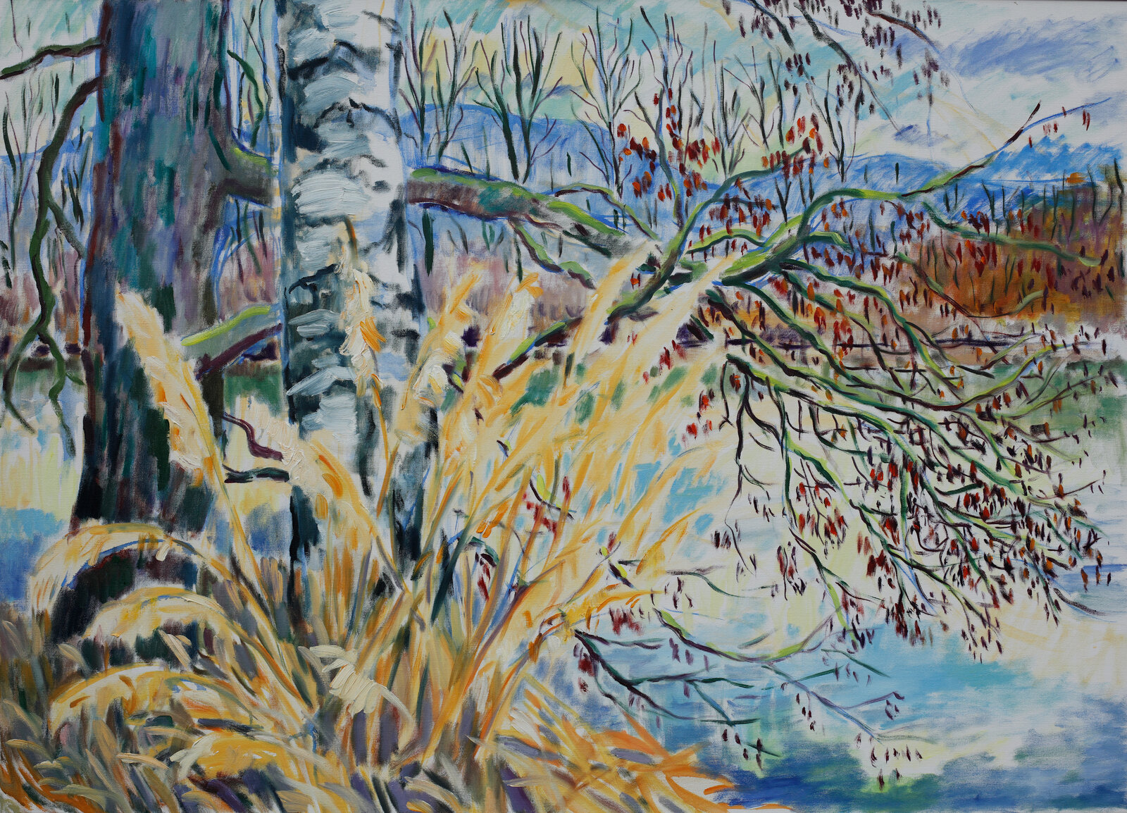 Vorfruehling bei der Drau