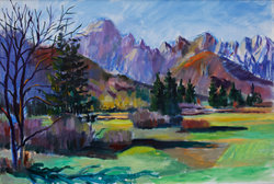 Der Mangart, Zelenice