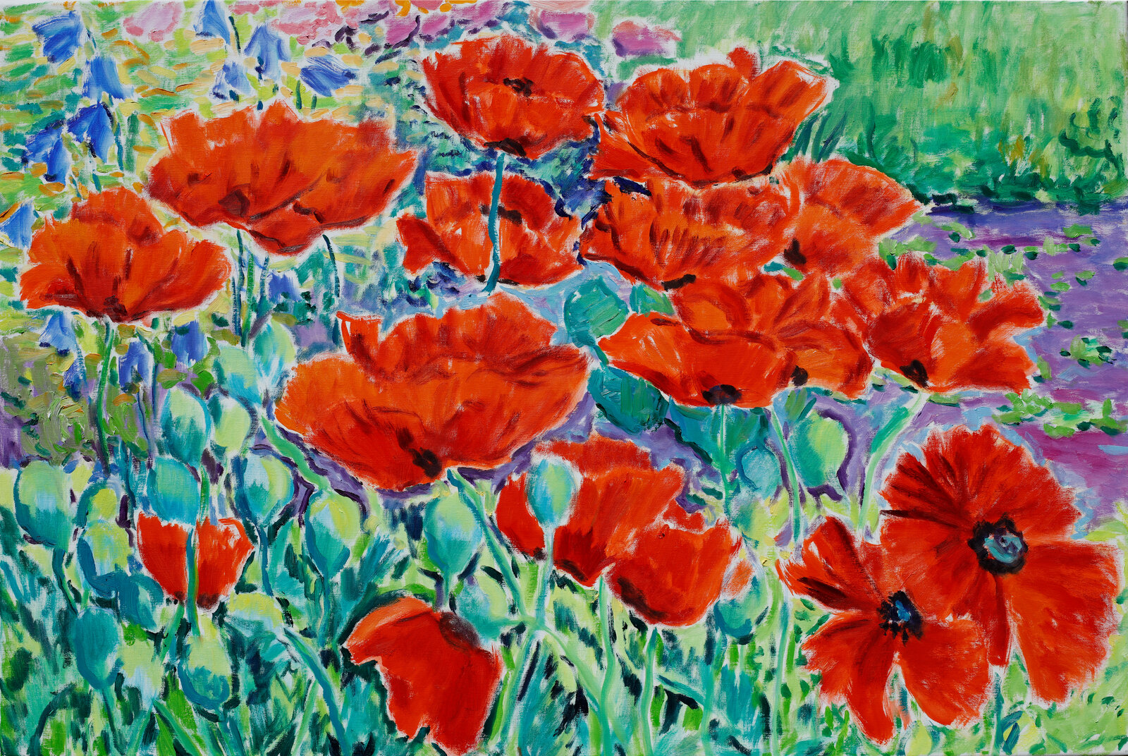 Mohn in Vevis Garten