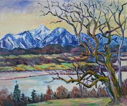 Alter Birnbaum und Obir