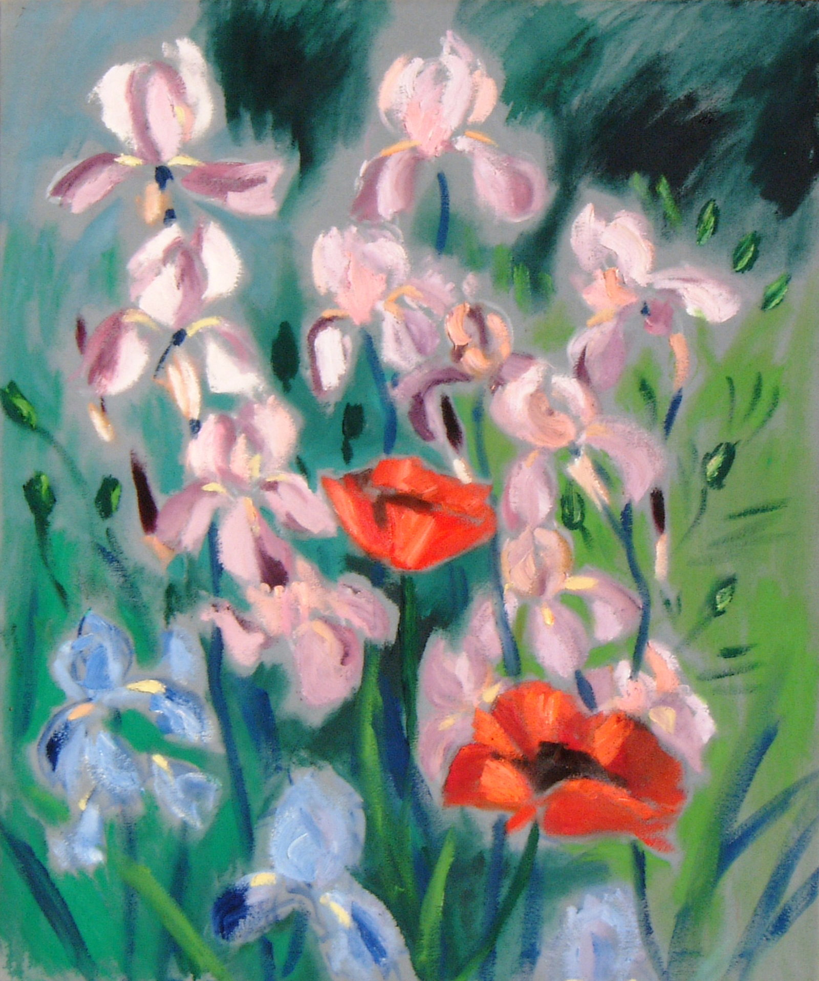 Mohn und Iris