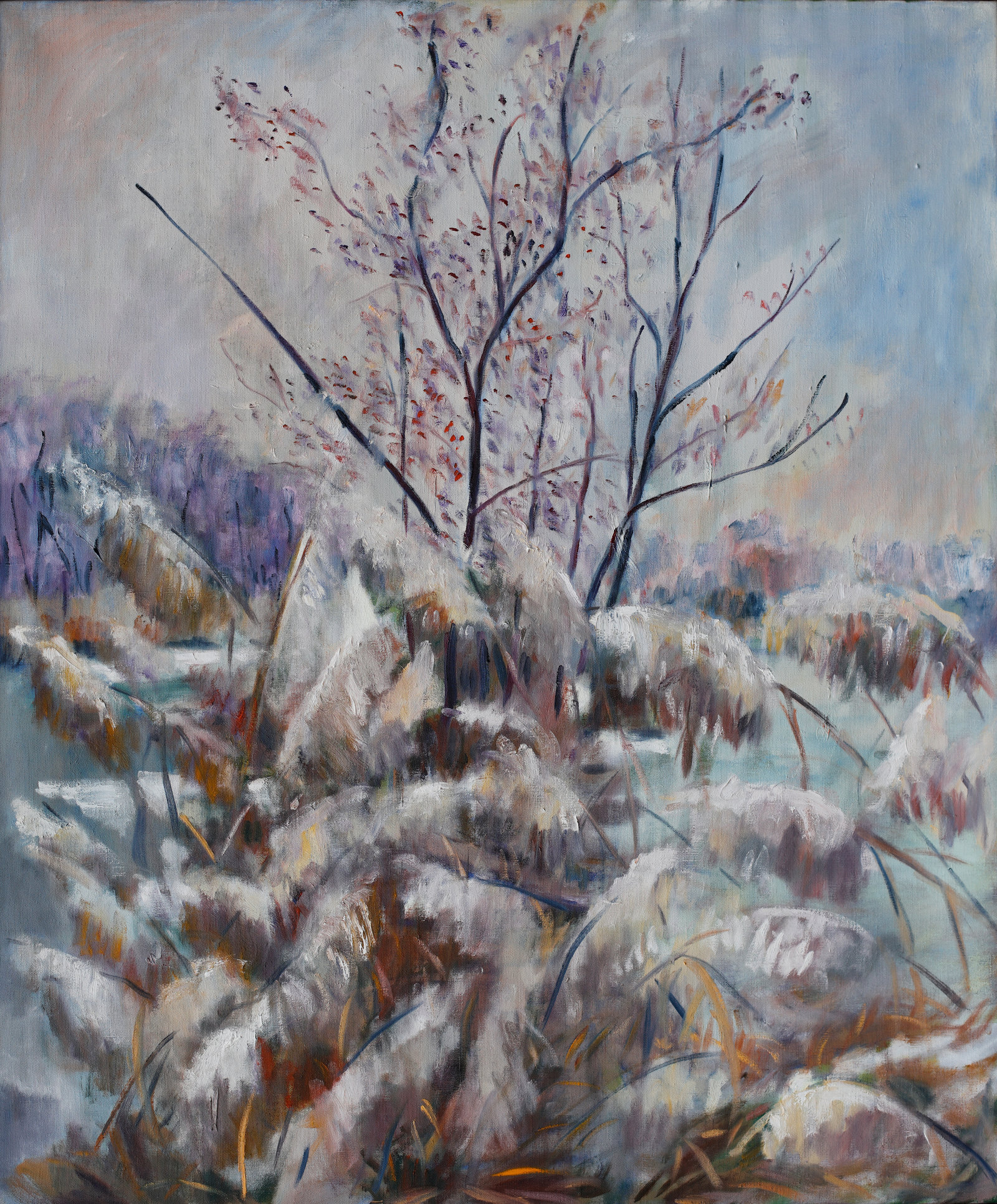 Eisiger Silvestermorgen, Schilf im Nebel