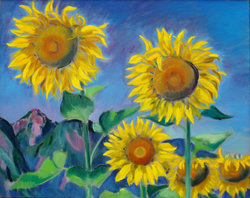 Sonnenblumen