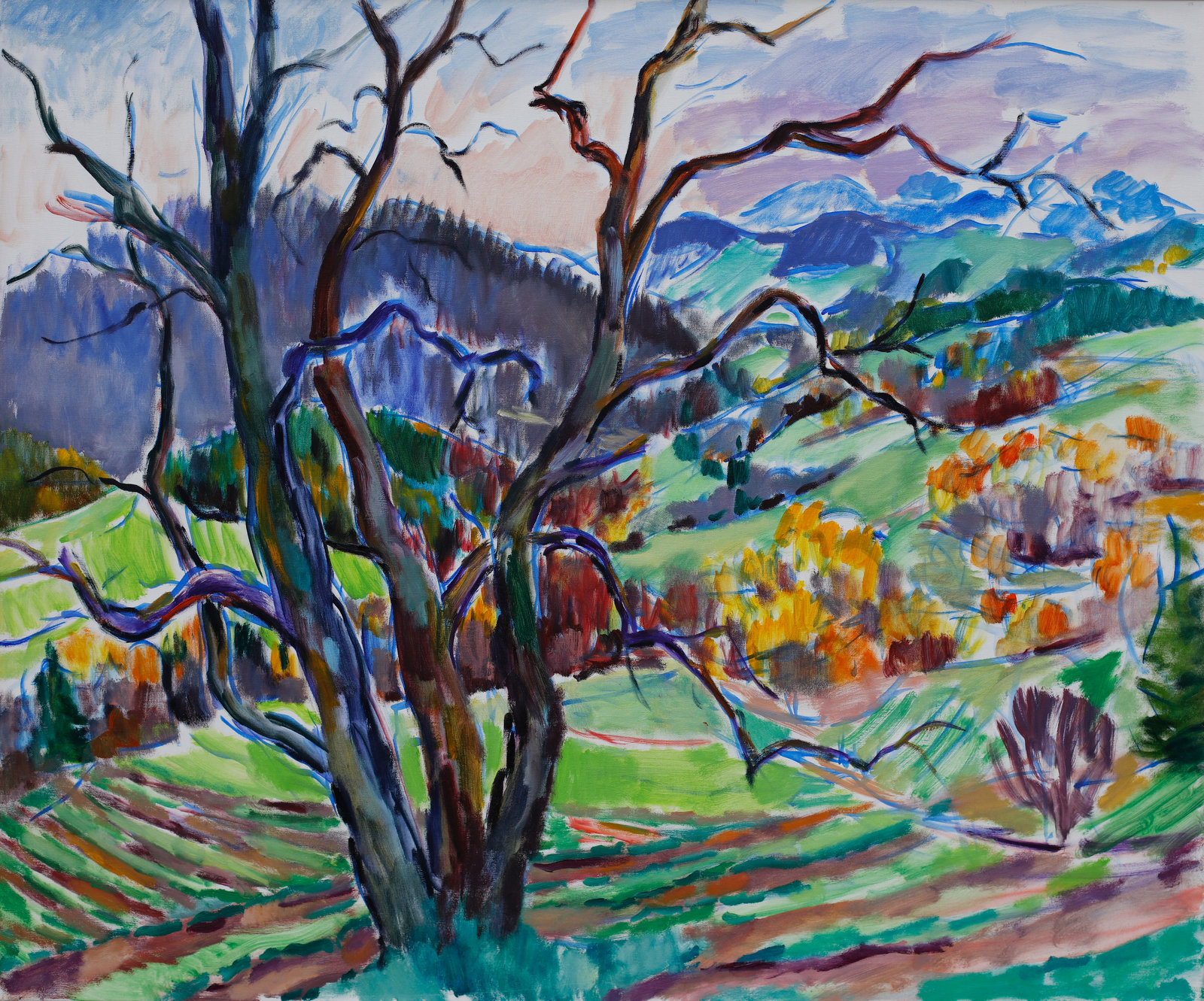 Alter Kirschbaum im Herbst