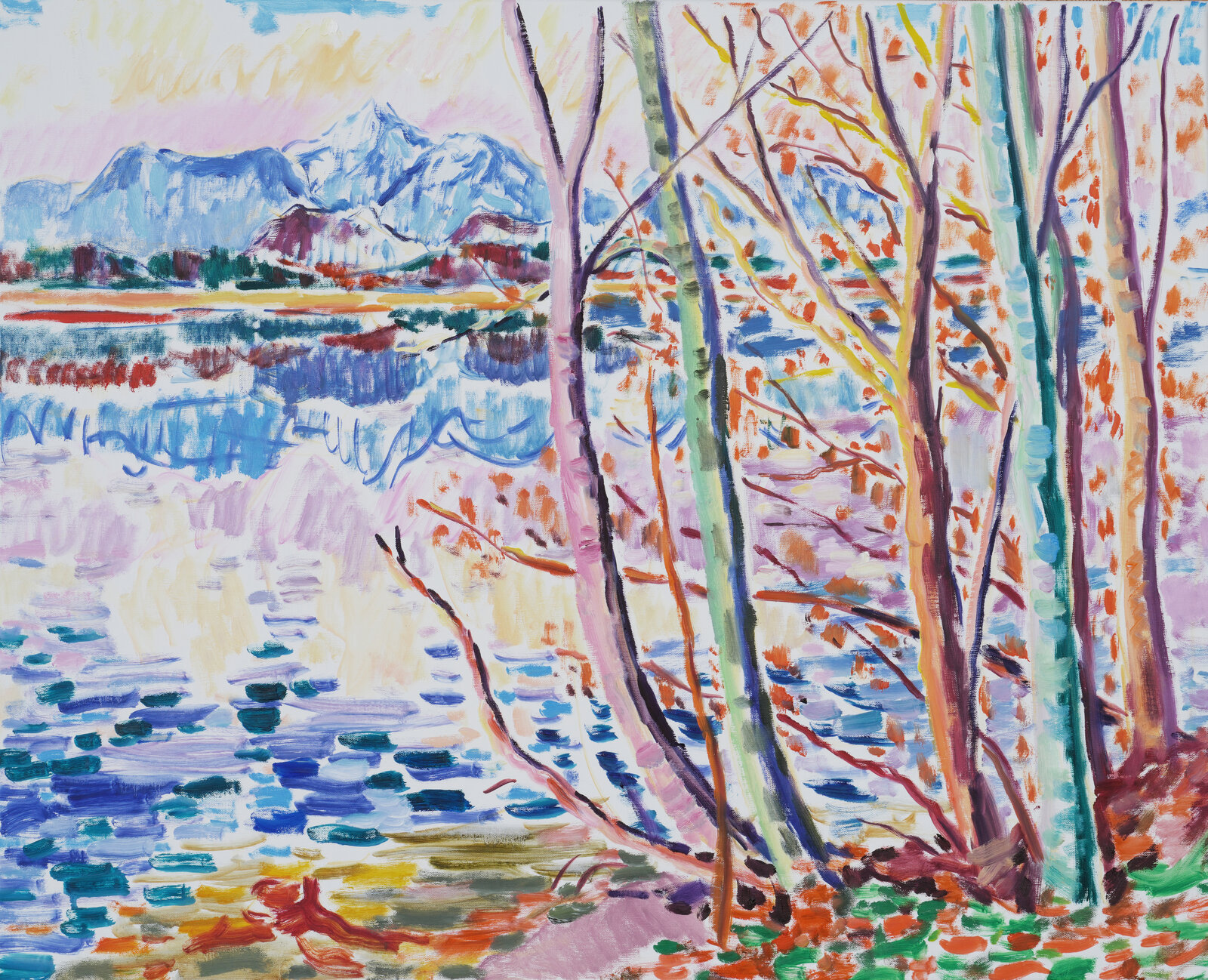 Vorfrühling bei der Drau