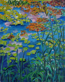 Wasserpflanzen, Sommerteich