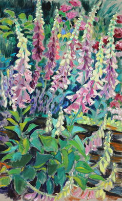 Fingerhut in Weissenegg