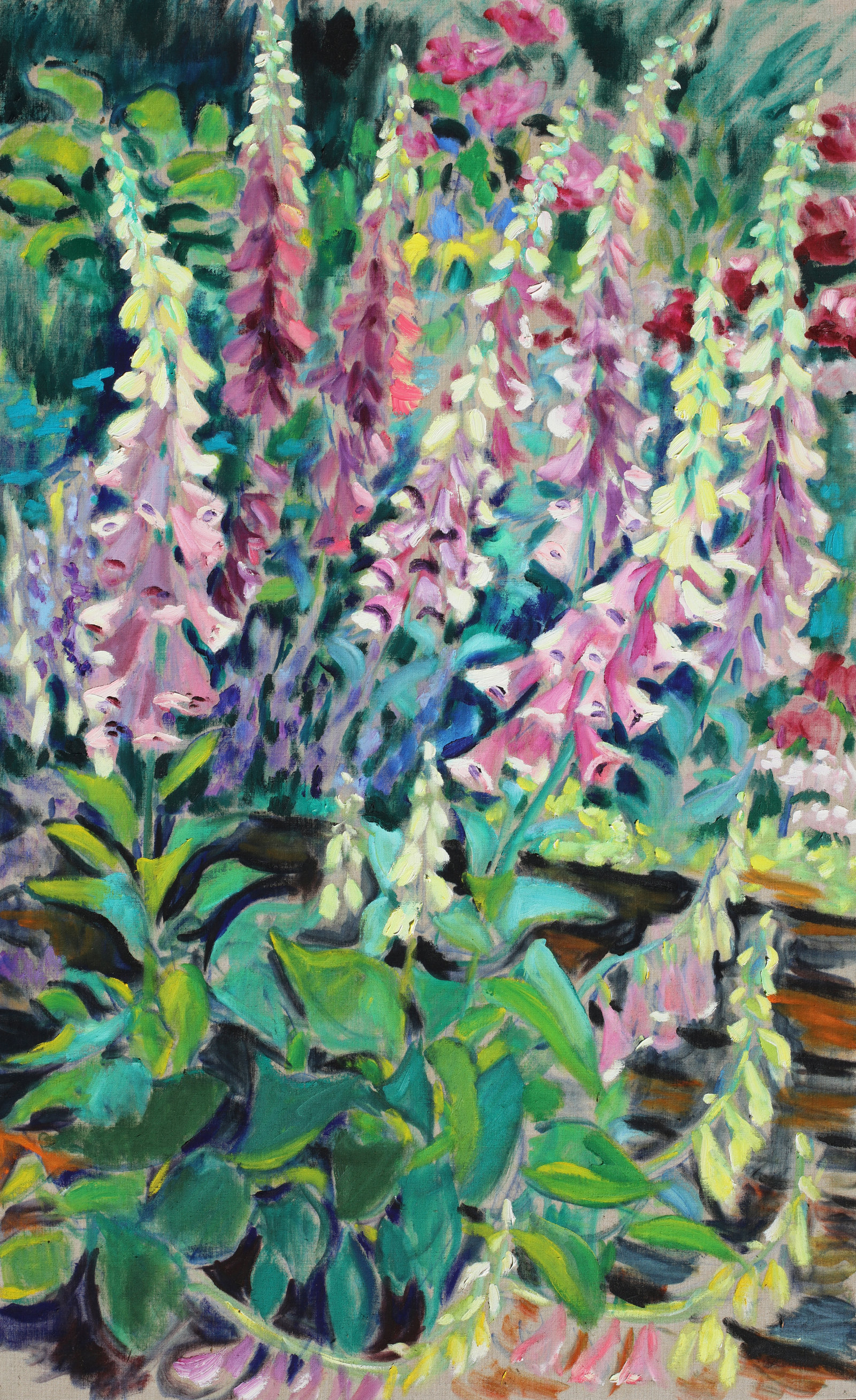 Fingerhut in Weissenegg