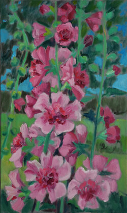 Rosa Malven