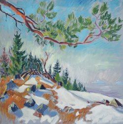 Lichter Wintermorgen