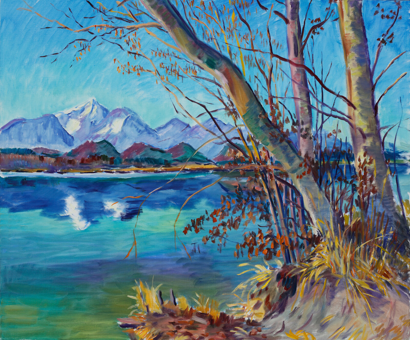 Vorfruehling bei der Drau