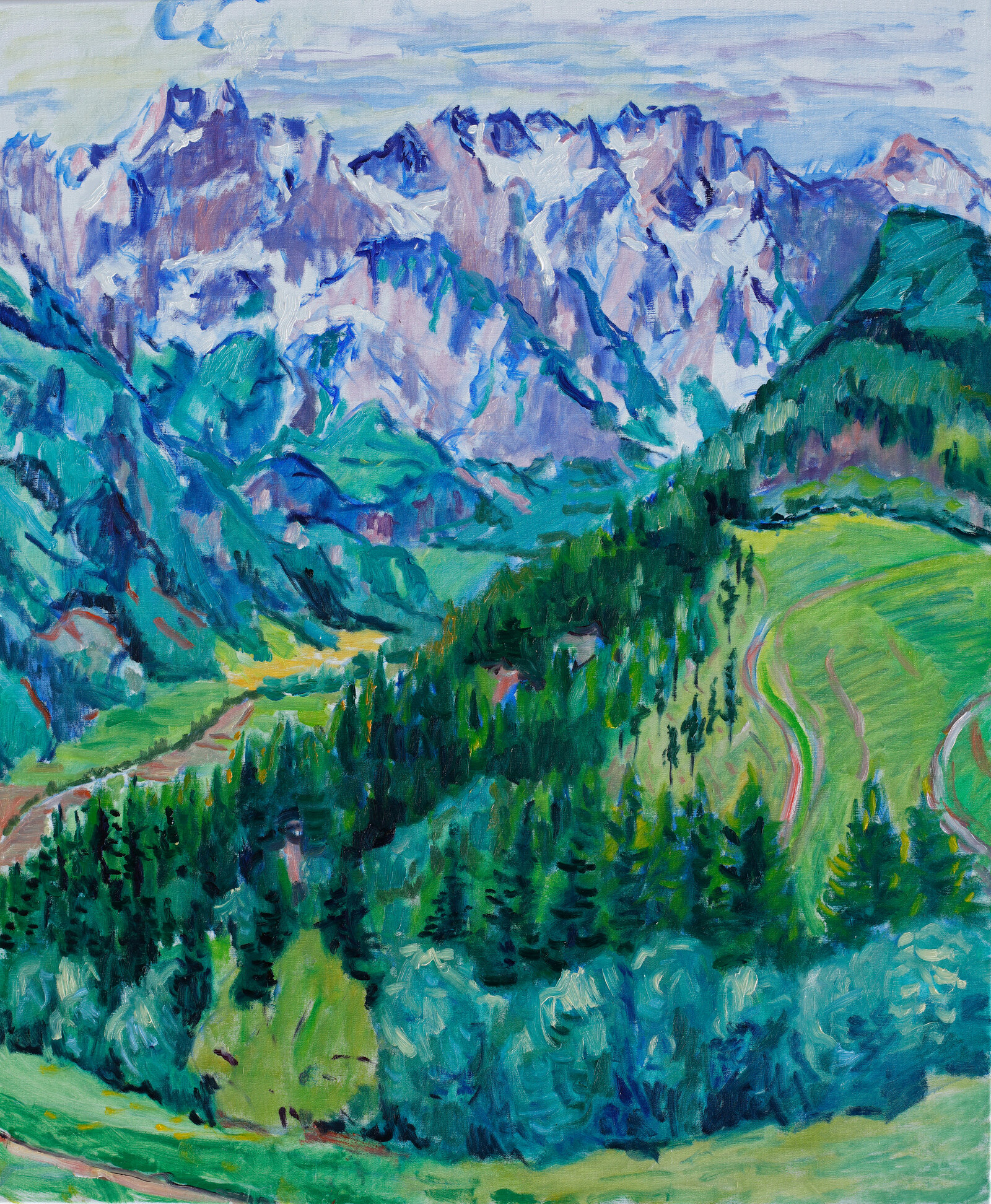 In den Steiner Alpen