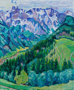 In den Steiner Alpen