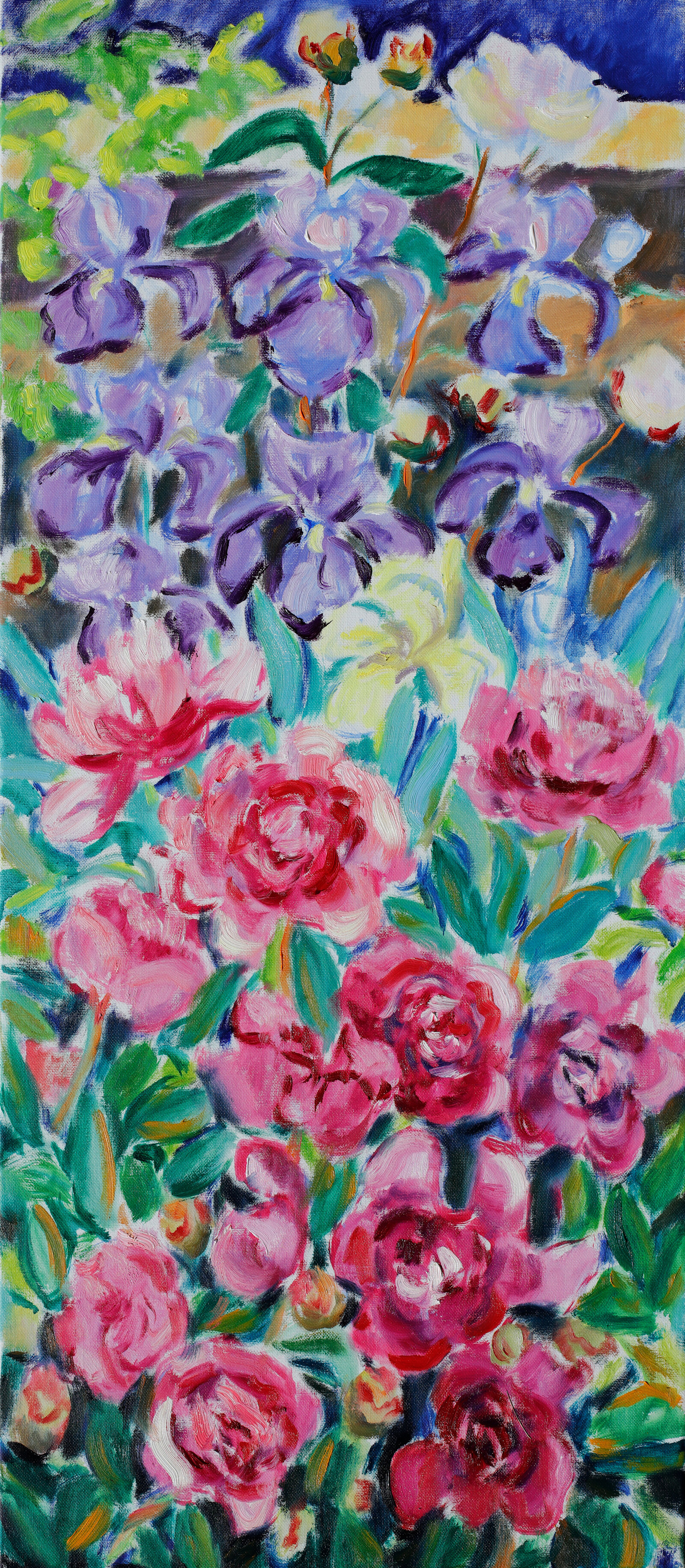 Pfingstrosen und Iris