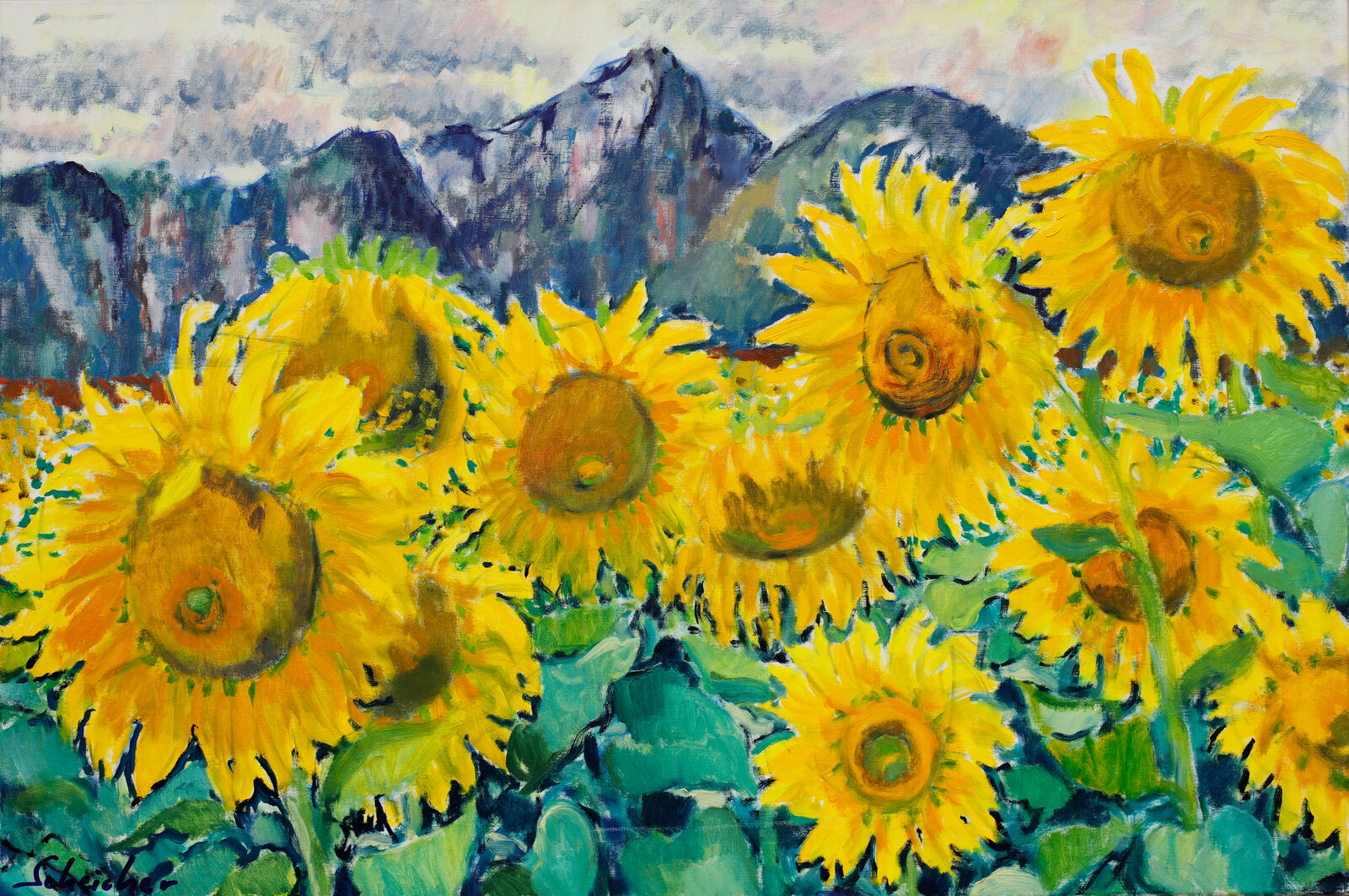Sonnenblumen