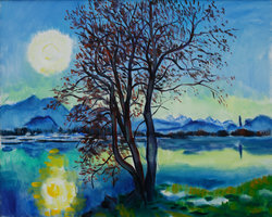 Novembersonne bei der Drau