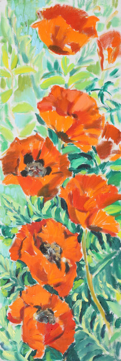 Mohn 3