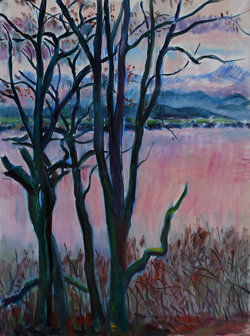 Dezemberabend bei der Drau