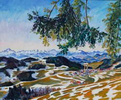 Schneeflecken Diex, Fichte